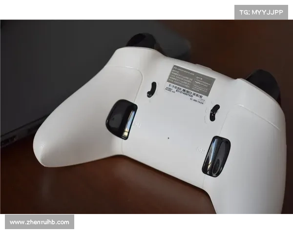 全面掌握崛起修改器技巧让你的游戏体验更加流畅畅快无阻