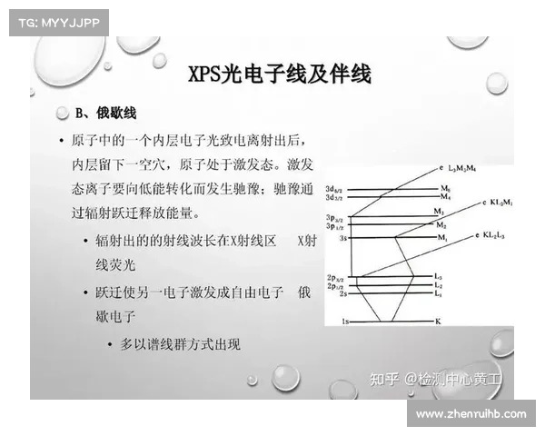 从五大关键要素解析建业俱乐部的组织性质与发展路径