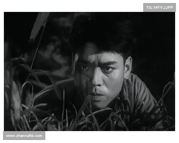 中国足球五大关键时刻平巴西 揭秘背后的惊人转折与历史意义