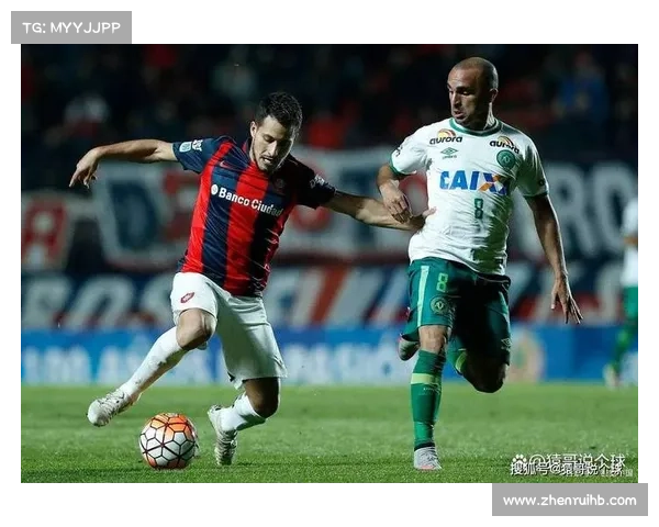 如何从多角度评估澳洲杯赛事的竞技水平与发展潜力